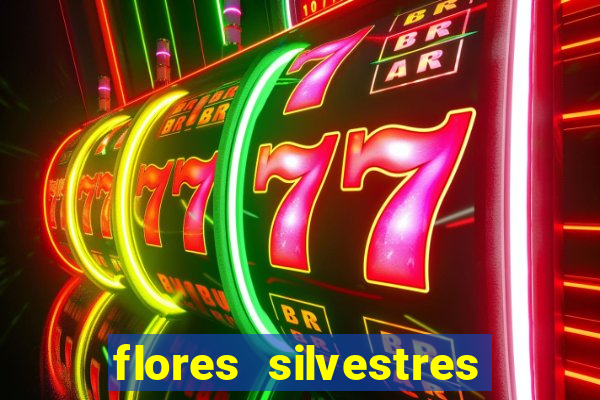 flores silvestres desbravadores desbravadores 25